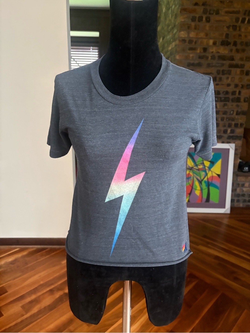 Aviator Nation Dark Gray Tee with Ombré Lightning Graphic, USED